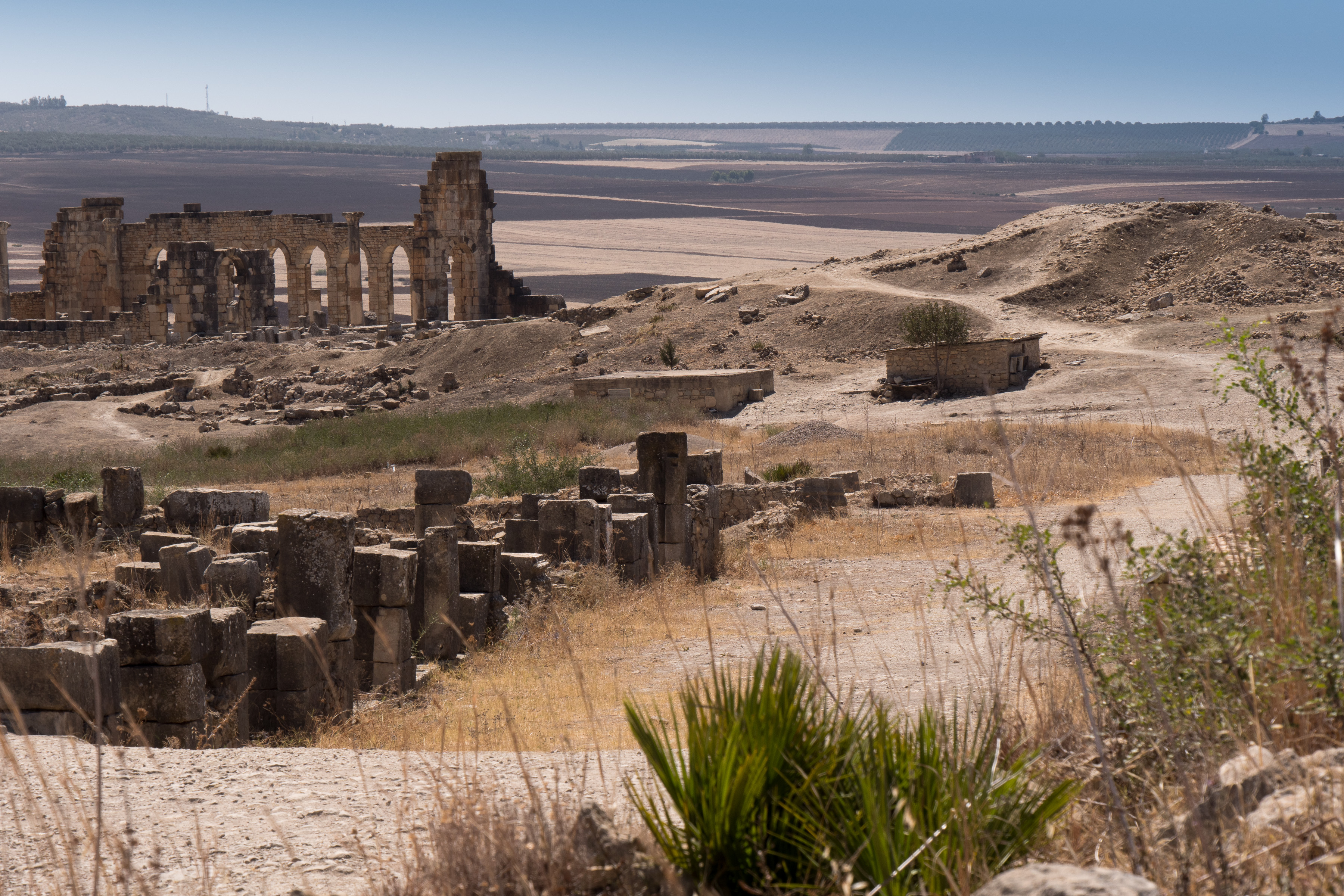 Volubilis